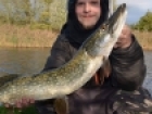 10lbs 7oz Pike from Canal. Soft lure