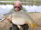 42lbs 4oz Common Carp from Beaudeux Fisheries using Stafford Carp Baits.