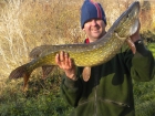 13lbs 9oz pike from Local River. Nice River Athlete