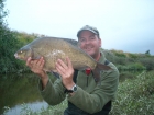 7lbs 7oz Bream from river Severn. Bream from a Very Fast Barbel Swim