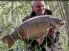 Andy Laurie 37lbs 8oz 8dr Carp from Sweet Chestnut Lake using Mainline Quad.. boilie loose fed, dropped in edge