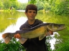 Colin Goletto 9lbs 4oz Zander from Sweet Chestnut Lake using one up shad.. Soft Lure