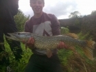 9lbs 5oz pike from river