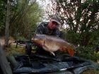 19lbs 4oz Common Carp from Fishawick. Solid Bags fished over boilies & pellets