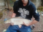 7lbs 14oz Barbel from radcliffe weir