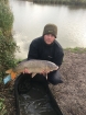 13lbs 0oz Carp from Burnham on sea holiday village using Nash Pineapple.. Common carp 13lb specimen lake burnham holiday village.taken about 3 feet away from the middle island.free running in-line