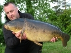 23lbs 2oz Mirror Carp from Billing Aquadrome using Solar Club Mix (Squid & Octopus, Stimulin and Anchovy).