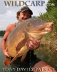 Tony Davies-Patrick 62lbs 8oz CARP from Public Non-commerical Lake using Nash Shellfish.
