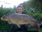 36lbs 9oz Common Carp from Yew Tree Lakes using Mainline.. Caught on new grange at 90meters near island and pads