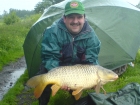 Jerry Adams 14lbs 0oz Common Carp from Trent And Mersey Canal using Solar Club Mix (Squid & Octopus, Stimulin and Anchovy).