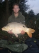 22lbs 0oz Mirror Carp from Hawkhurst Fish Farm using Dynamite.. Moved Rod to Carp Activity and had the run within 10 minutes.