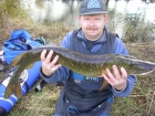 Simon Robson 11lbs 8oz Pike from River Ure. Caught on legered deadbait (roach) fished under bush downstream of peg