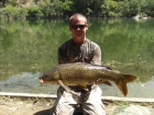 Aaron Whiteside 15lbs 0oz Common Carp from River Ebro