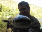 Aaron Whiteside 10lbs 1oz Catfish from River Ebro