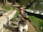 10lbs 5oz Catfish from River Ebro