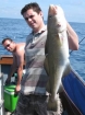 18lbs 3oz cod from Bessie Vee Charters