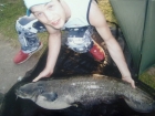 21lbs 1oz catfish from shattersford lakes