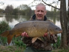 19lbs 8oz common carp from Local Clubwater