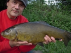 9lbs 3oz 8dr Tench from Gravel Pit