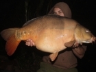 27lbs 14oz Mirror Carp from Rookley Country Park