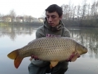 23lbs 8oz Common Carp from Rookley Country Park