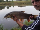 Pete Jackson 4lbs 0oz Barbel from River Ribble