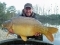 Beausoleil French Carp and Cats 27lb 4oz mirror
