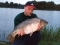 Calf Heath Reservoir - Fishing Venue - Coarse / Carp in Cannock (Staffordshire, West Midlands), England