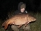 26.10lb Cold Weather Mirror - Nash Scopex Squid Liver Plus and a 10mm Monster Squid Pop-up done the business!