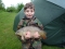 William's first carp on his pole - watch that elastic go!