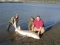 A little 300lb from the Fraser River. www.carp1.com