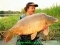 A superb upper forty caught at long range from a large lake in South Africa.