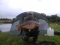 this is my mate will with a 15lb 6oz mirror