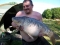 Just one of Chris Bates 26 fish banked at La Petite