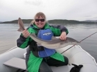 Susan Jayne 9lbs 11oz Spurdog. Mackerel feathers