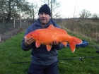 Nick Yeomans 12lbs 1oz carp, carpcatchers.. Caught using carpcatcher boiles next to reed bed